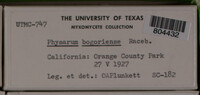 Image Associated With the Occurence